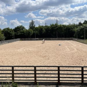 arena-and-horse